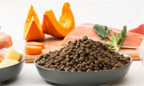 豆柴完成數千萬元A輪融資，金鼎資本領投，加速寵物食品市場布局